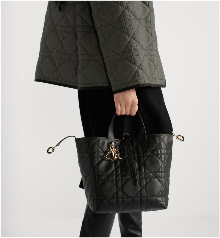 Medium Dior Toujours Vertical Tote Bag