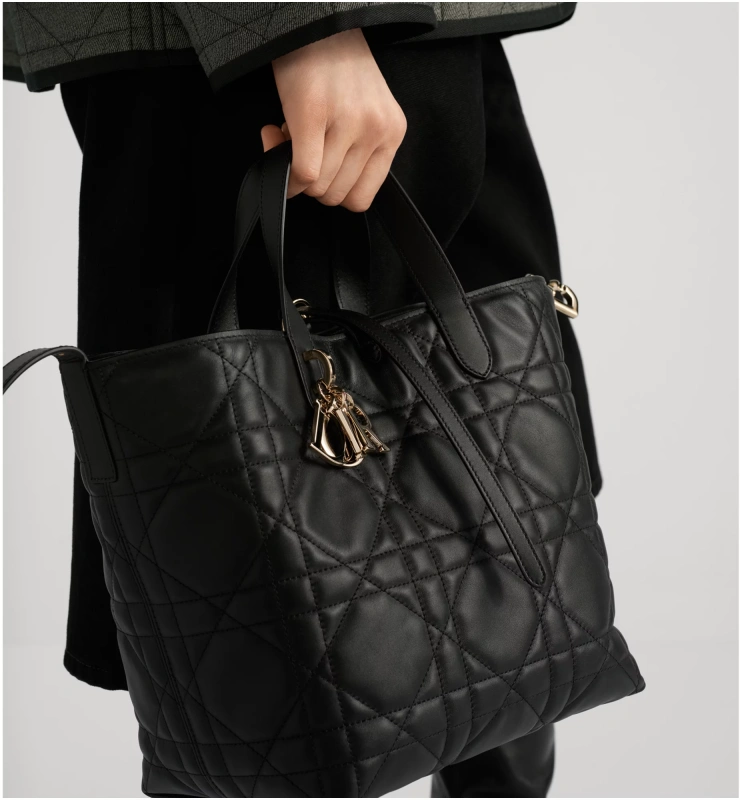 Medium Dior Toujours Vertical Tote Bag