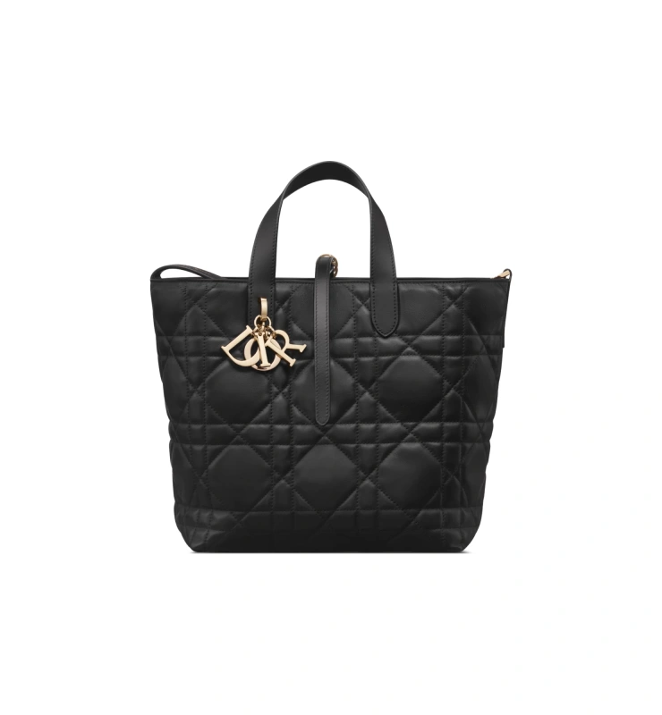 Medium Dior Toujours Vertical Tote Bag