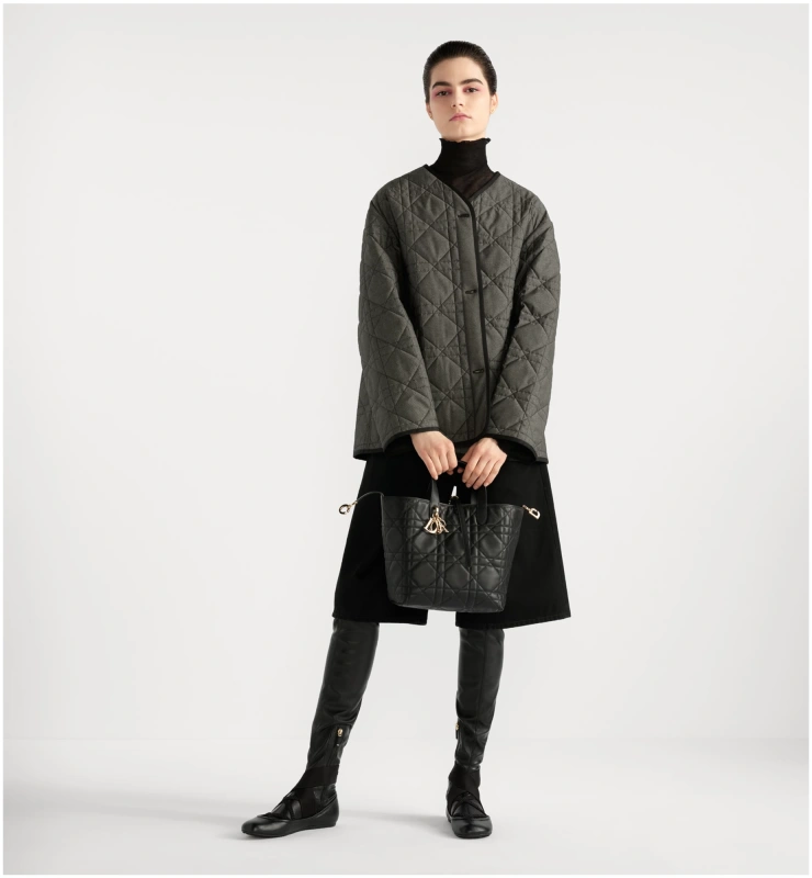 Medium Dior Toujours Vertical Tote Bag