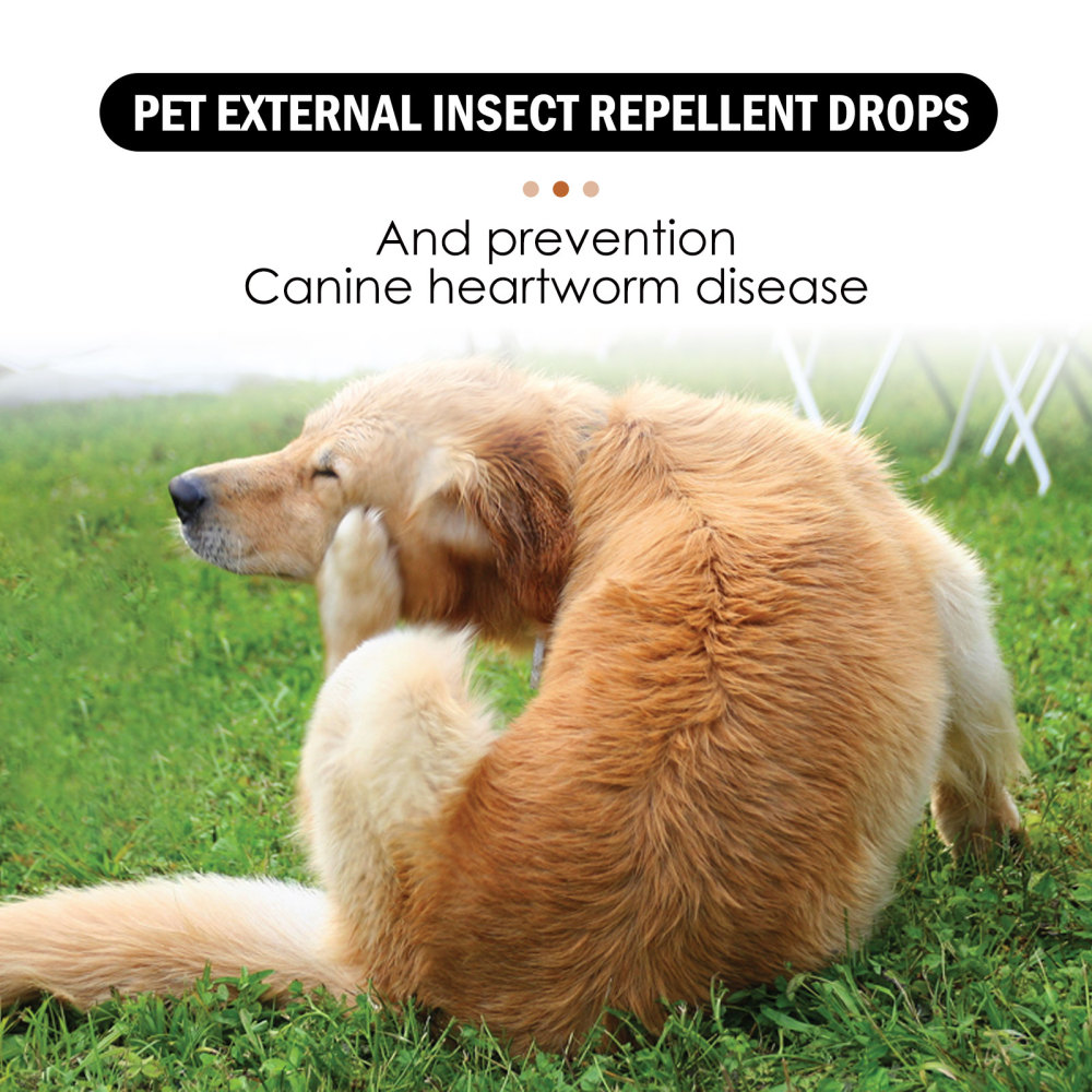 Yegbong Pet Topical Parasite Repellent Drops