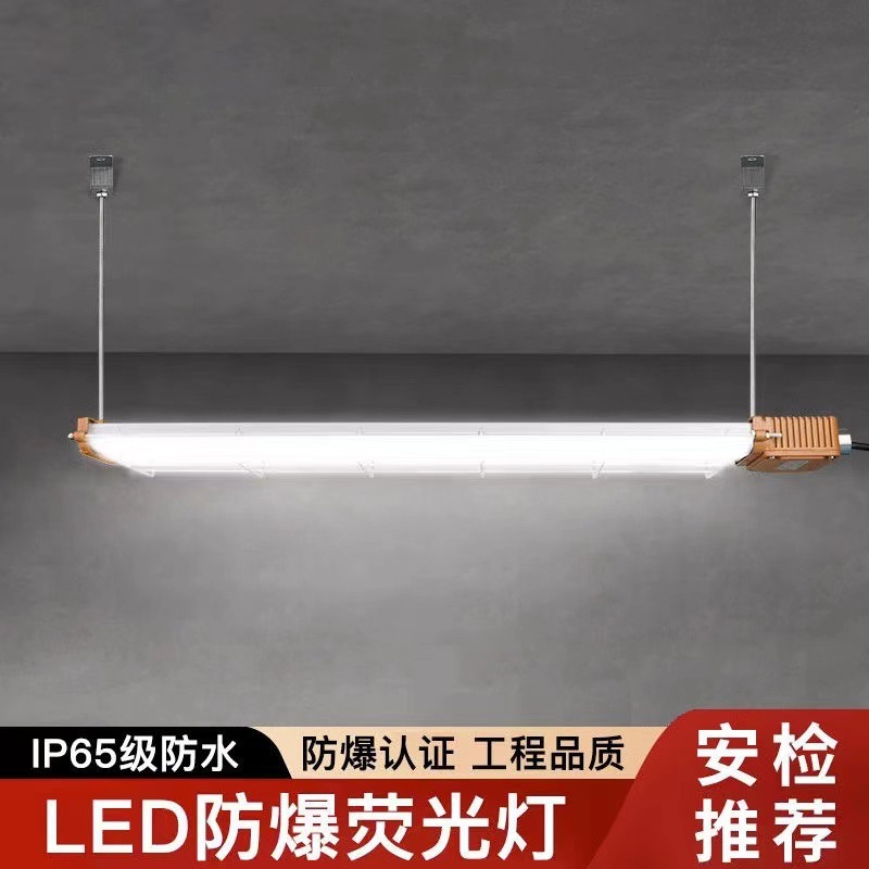 LED explosion-proof lamp, long strip type 1.2 meters long