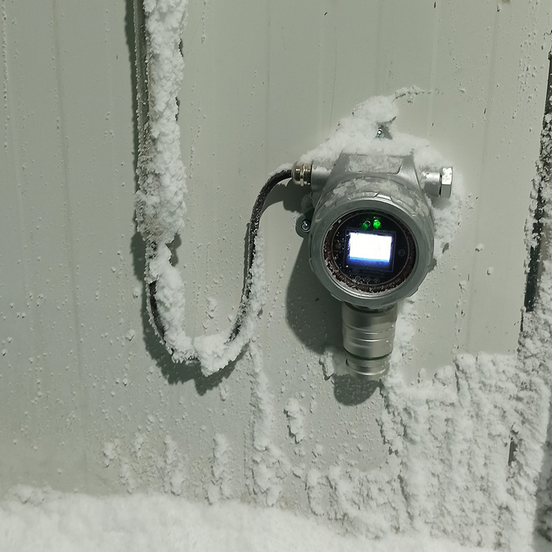 Fixed hydrogen sulfide detector