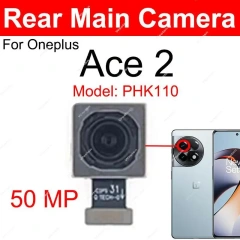 Ace 2-Rear Main