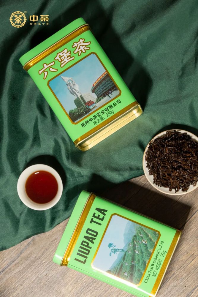 Old No. 8 Middle School Tea Workers' Stadium Can (Green Can) 2019 Reissue Edition