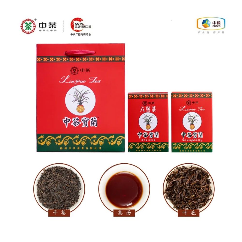 【Zhongcha Baolan - Si LAN】Liubao Tea