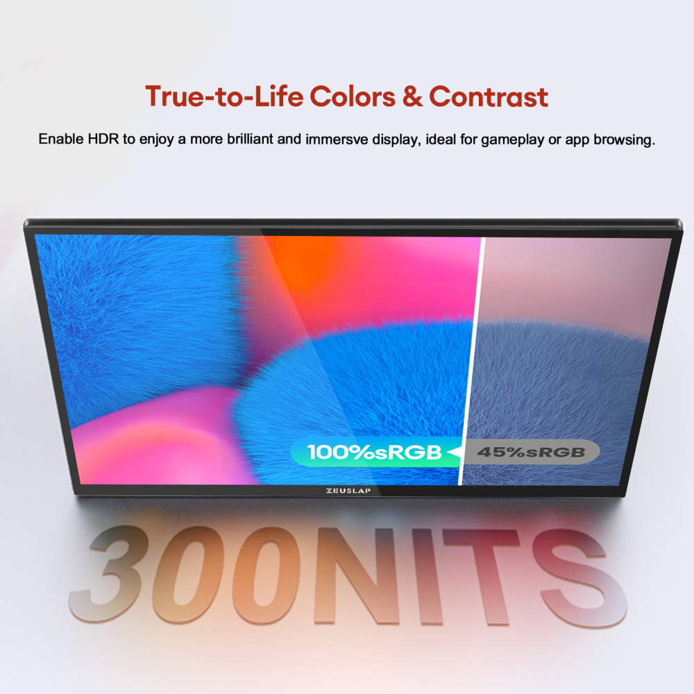 ZEUSLAP-Z18T 18.5" 100Hz Touch Portable Monitor - 1080P FHD 100% sRGB, 10-Point Touch, Dual Thunderbolt+HDMI, Adjustable Stand & 30W Charger