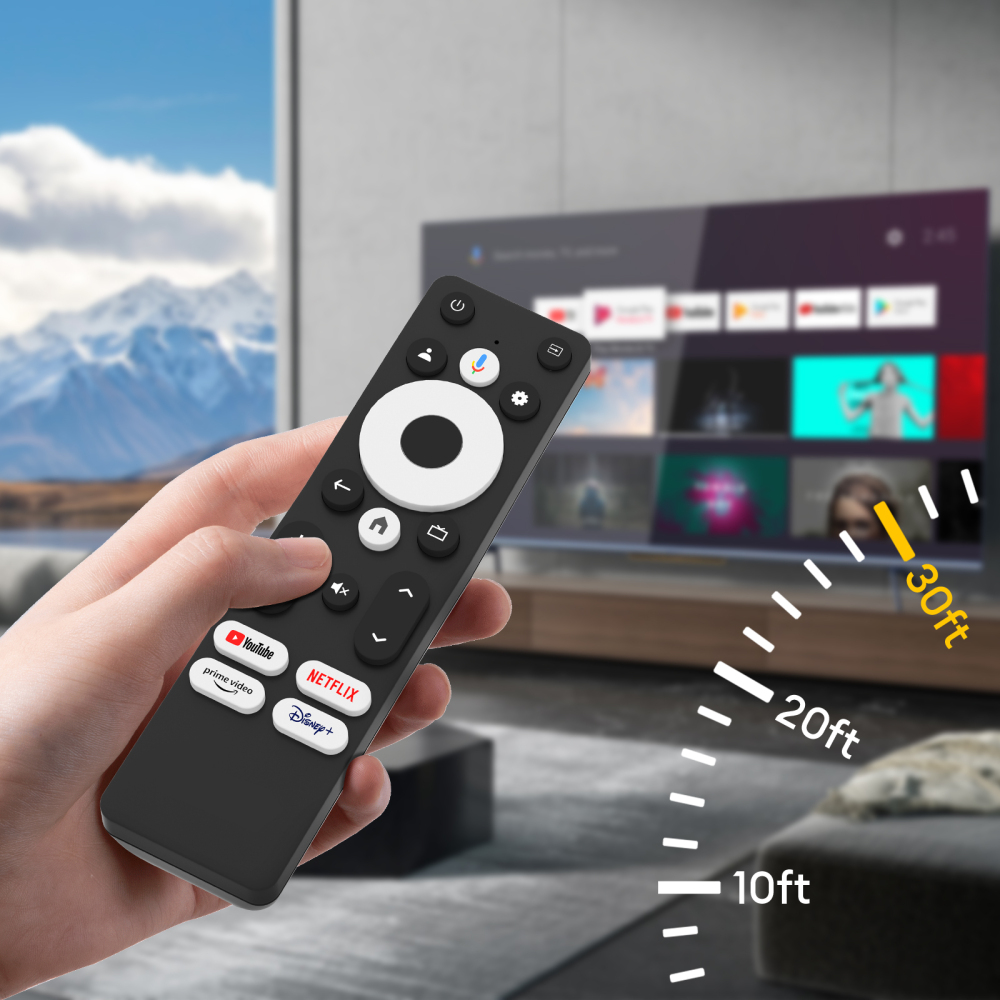 ZEUSLAP Google TV Monitor Bluetooth Remote Control for Z18TV PRO, Z22TV PRO, Z27TV and Z32TV