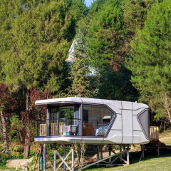 Superior Villa Mobile House