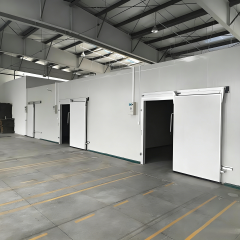 Container Cold Storage Room