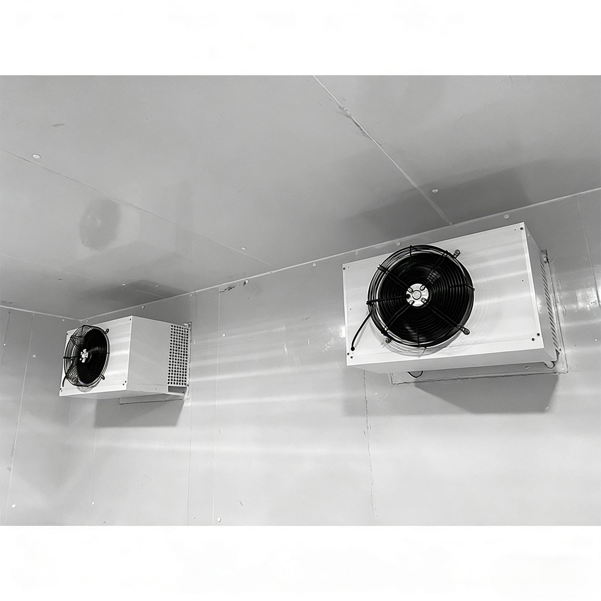 Container Cold Storage Room