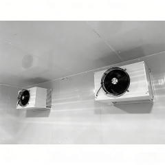 Container Cold Storage Room
