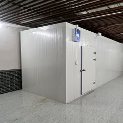 Container Cold Storage Room