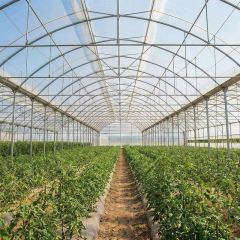 steel Structure Greenhouse