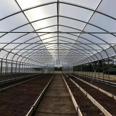 steel Structure Greenhouse