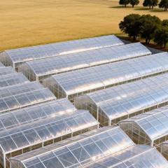 steel Structure Greenhouse