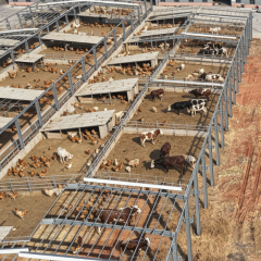 Steel Structure Farm