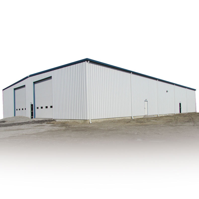 Steel Structure Grain Silo