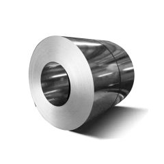 301 Stainless Steel Coil