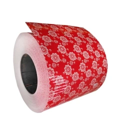 Double Painted PPGI Coil