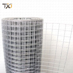 Manufacture From China Factory 100 Feet 8 Feet Chicken Netting Galvanized Wire Mesh in Roll with Good Price