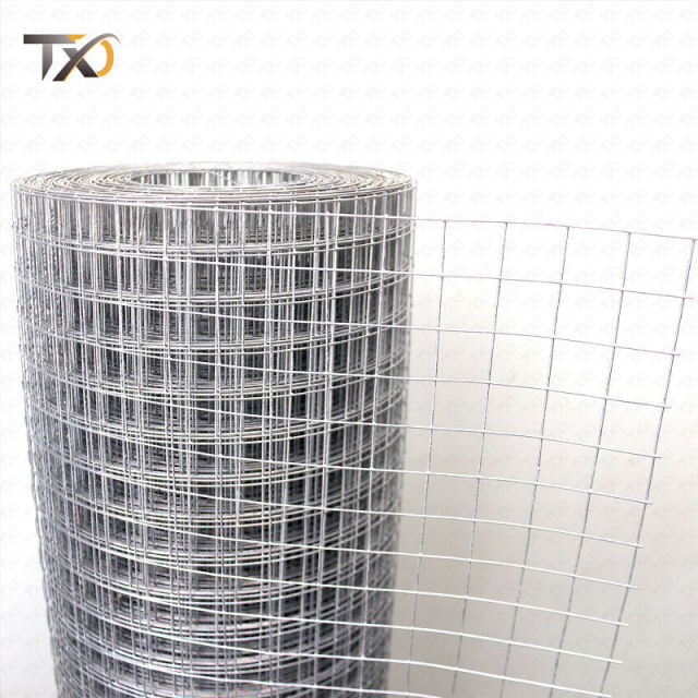 Manufacture From China Factory 100 Feet 8 Feet Chicken Netting Galvanized Wire Mesh in Roll with Good Price