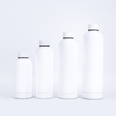 Wholesale 500ml Stainless Steel Vacuum Flask | Custom Pantone B2B Insulated Water Bottles