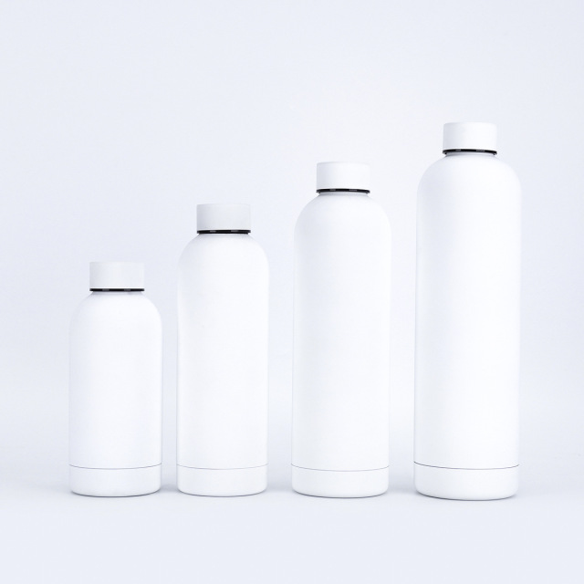 Wholesale 500ml Stainless Steel Vacuum Flask | Custom Pantone B2B Insulated Water Bottles