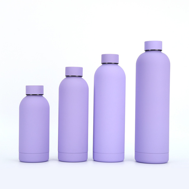 Wholesale 500ml Stainless Steel Vacuum Flask | Custom Pantone B2B Insulated Water Bottles