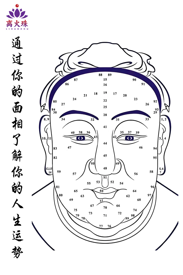One-on-One Face Reading Analysis - Twelve Palace Interpretation