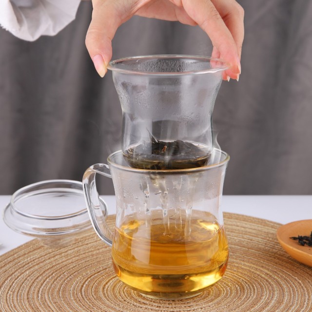 All-Glass Mug with Glass Lid & Infuser - 300ml (B20) | GnGlass