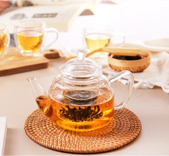 All-Glass Teapot with Removable Filter & Lid – 600ml / 20.3oz (H13) | GnGlass