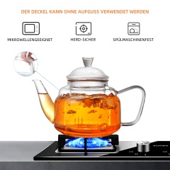 All-Glass Teapot with Removable Filter & Lid – 600ml / 20.3oz (H13) | GnGlass