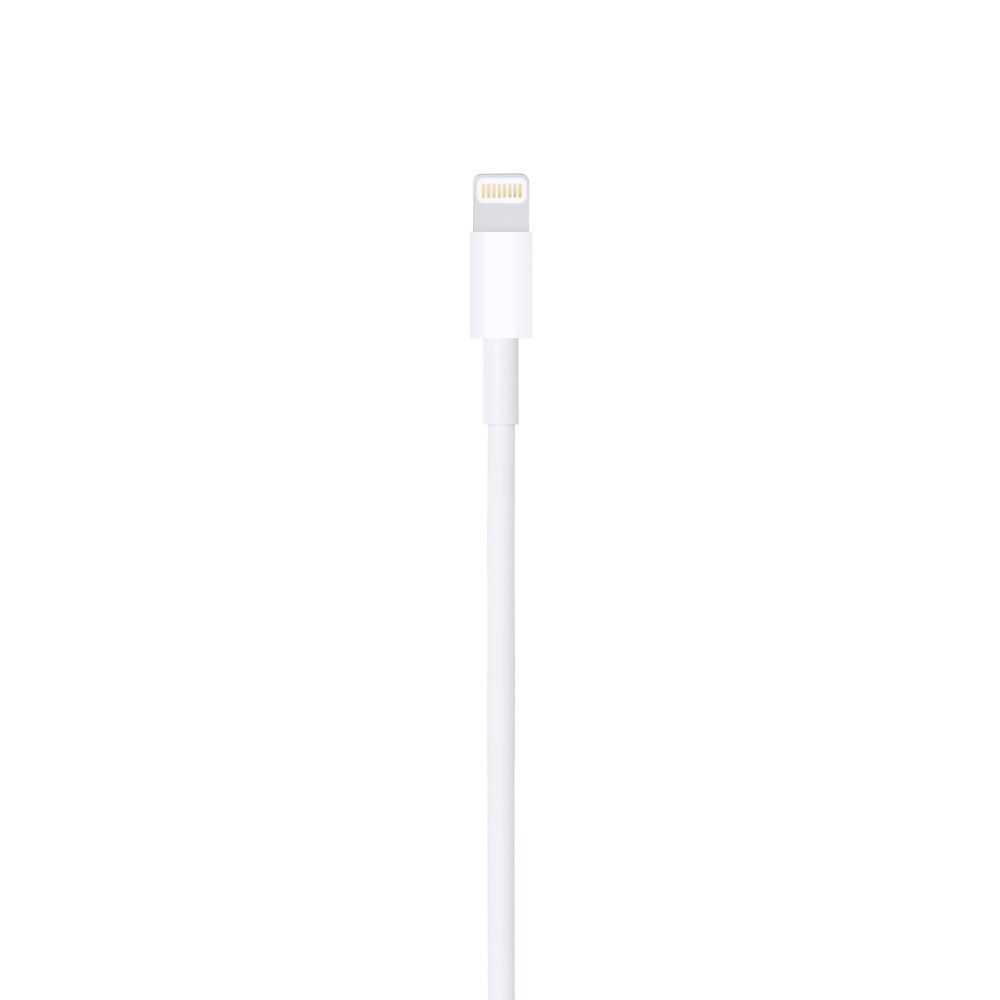 Lightning to USB Cable (1 m)