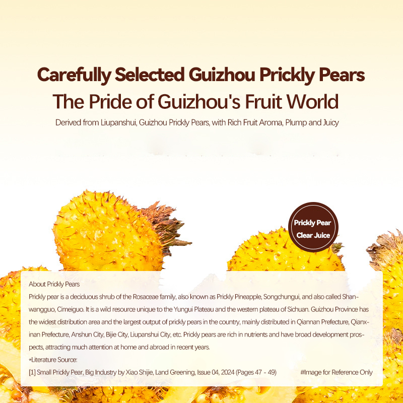 喵序MIUOH枇杷雪梨饮