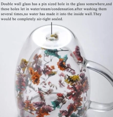350ml 12OZ Heat Resistance Glass Cup with Dry Flower High Borosilicate Double Wall Glass Mug