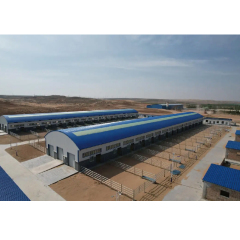 Q235/Q355 Light Prefabricated Cattle Shed Steel Structures