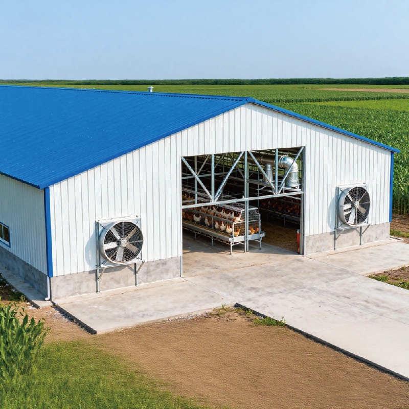 Prefabricated Steel Structure Buildings Chicken Shed Low-Priced Poultry Farm Design for Chicken Farms