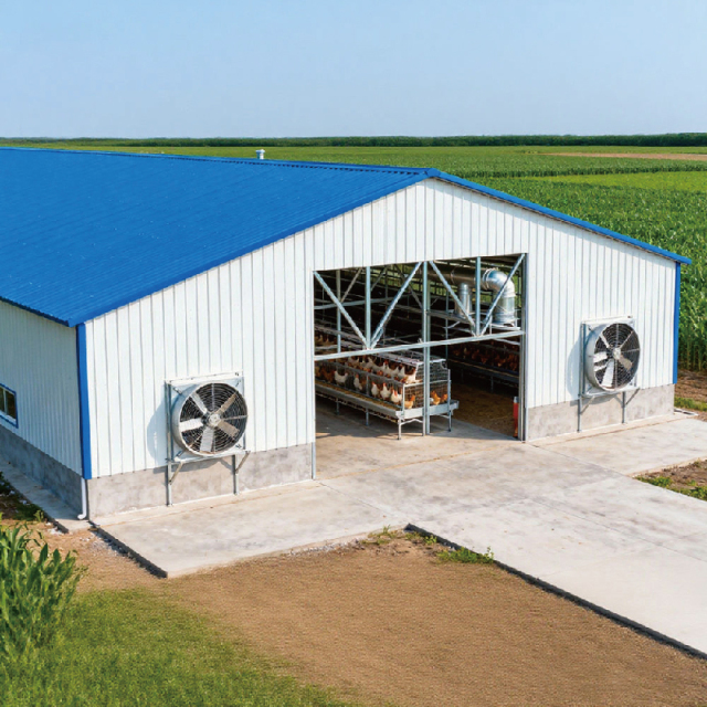 Prefabricated Steel Structure Buildings Chicken Shed Low-Priced Poultry Farm Design for Chicken Farms