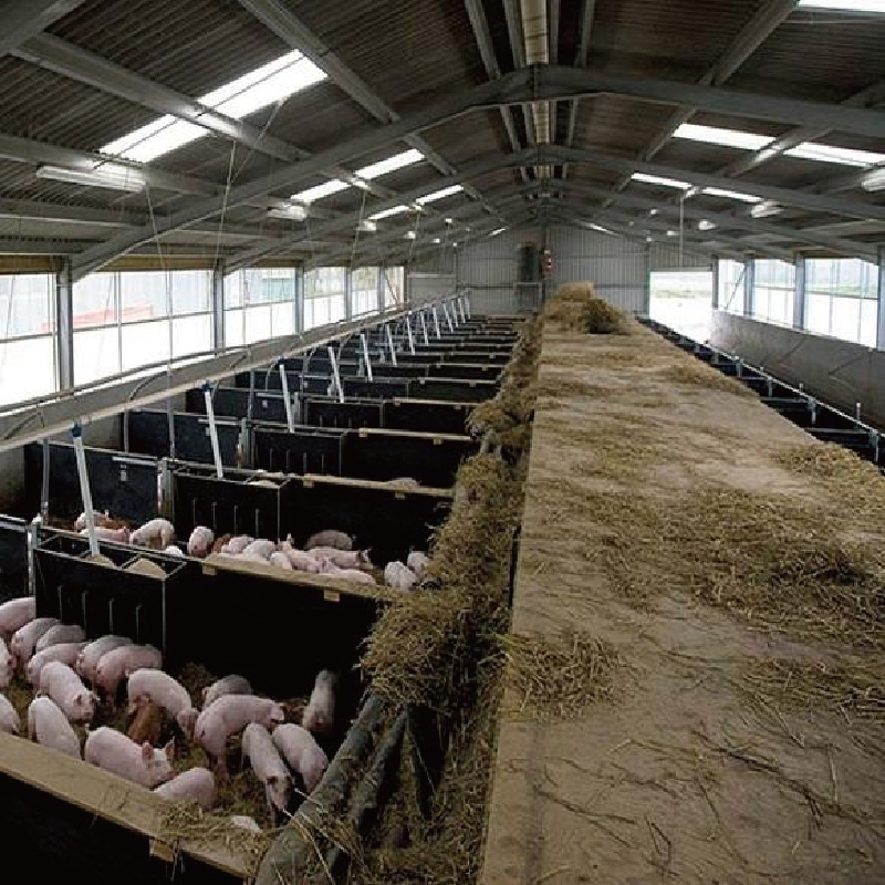 Galvanized steel structure modern pig farm / Automated pig house / Prefabricated pig pen / Cattle shed