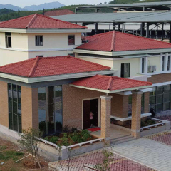 Luxury Steel Structure Villa and House Design