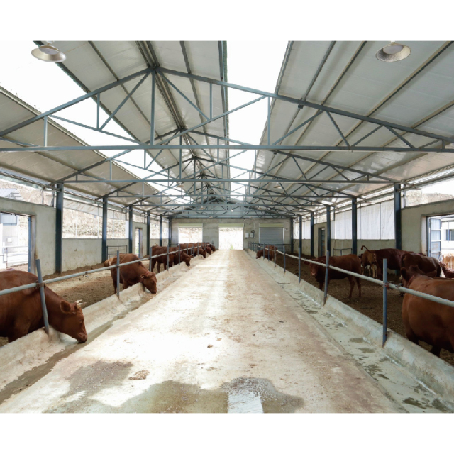 Steel Structure Design Livestock Farm Shed Goat /Cattle Farms Building