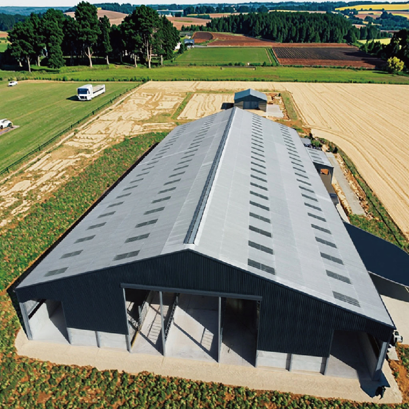 Modern Design Steel Structure Prefab Light Metal Cattle Shed for Farm