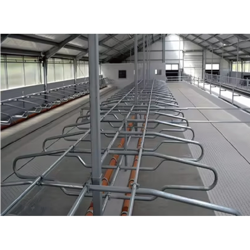 Prefab Farm Shed Building / Portable Prefab Steel Warehouse and Cattle Shed Farmhouse Building