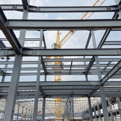 Multi-layer steel structure building