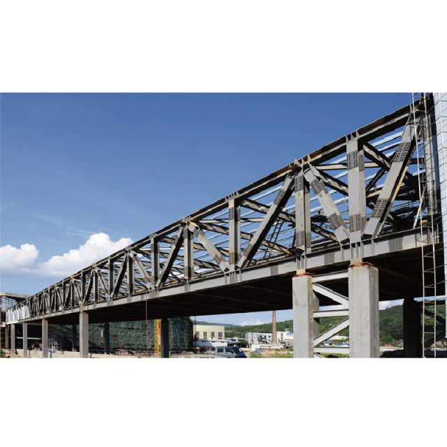 Steel structure bridge / Compact reinforced concrete bridge structure