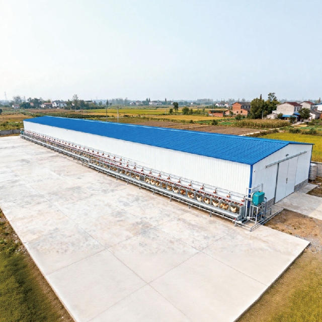 Broiler Chicken Farm Steel Structure Building with Ventilation System and Insulation Material