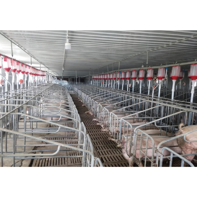 Find similar icon Prefab Steel Frame Sheds Pig Raising Equipment Galvanized Pig Farm House