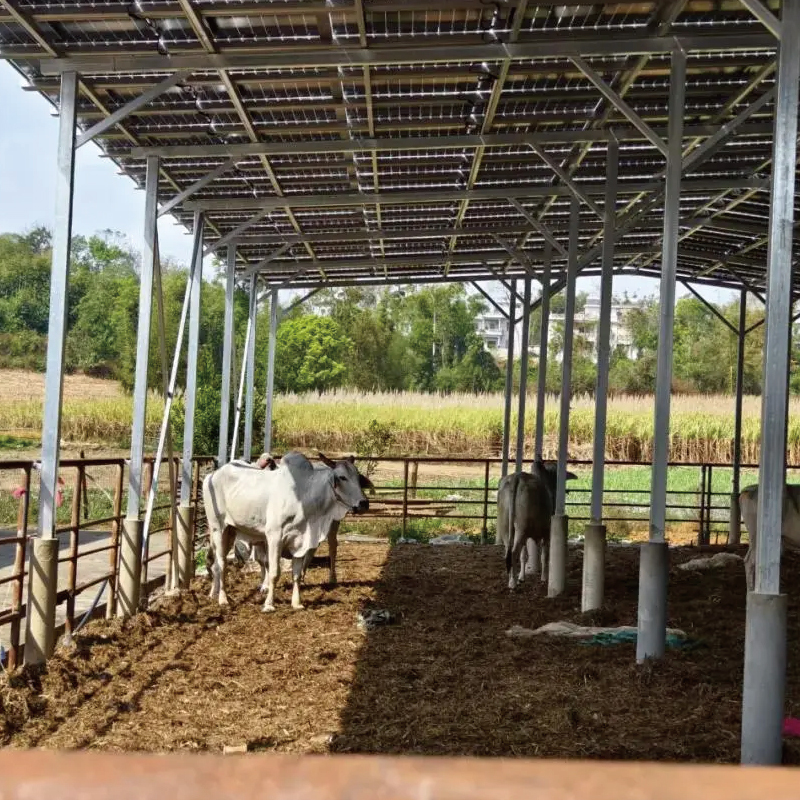 Prefab Farm Shed Building / Portable Prefab Steel Warehouse and Cattle Shed Farmhouse Building