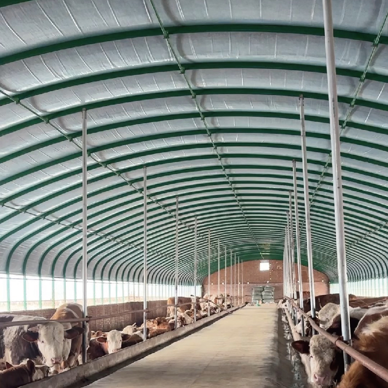 Steel Structure Design Livestock Farm Shed Goat /Cattle Farms Building
